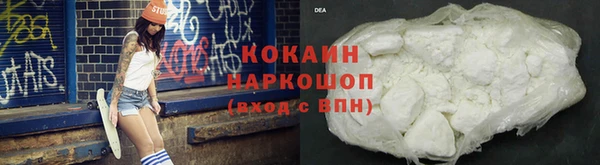 прущие грибы Сясьстрой
