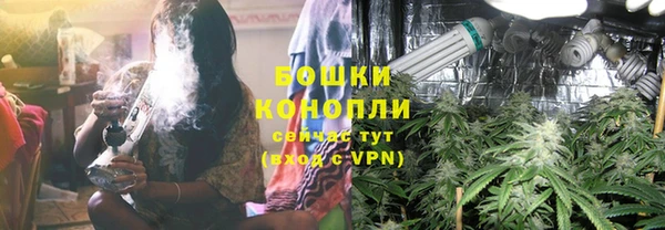 молекула духа Белокуриха
