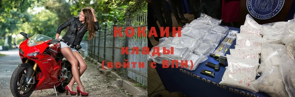 молекула духа Белокуриха