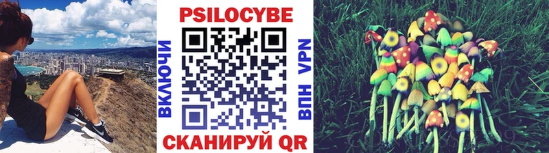 mega как зайти  Оха  Галлюциногенные грибы MAGIC MUSHROOMS 